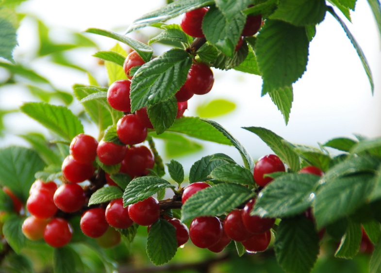 1634030305418788.jpg 1634030061(1).jpg