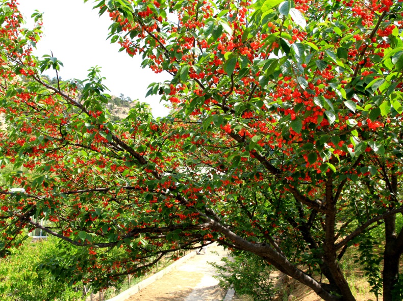 1634030316541983.jpg 1634030043(1).jpg