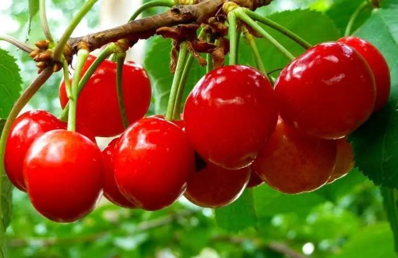 1634030321147400.jpg 19.jpg