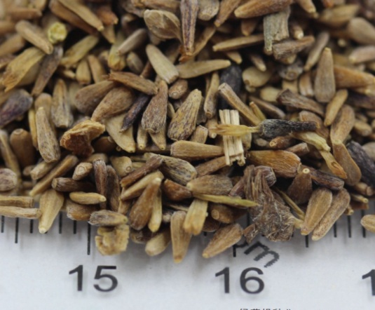 1634104361401624.jpg image.jpg