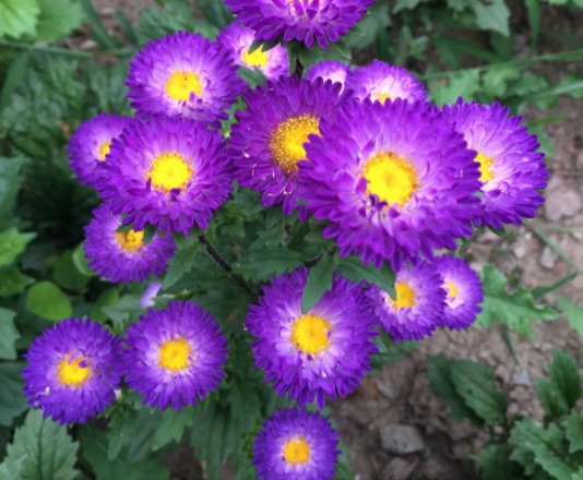 1634104378176333.jpg image.jpg