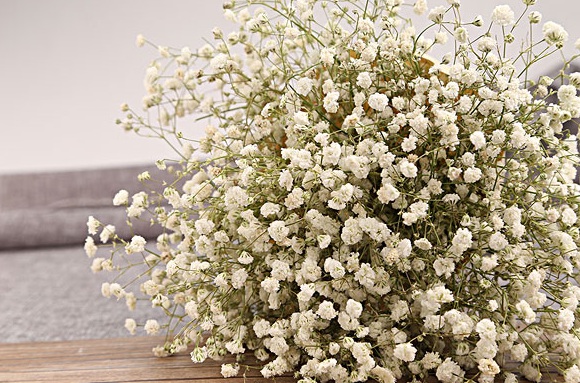 1634118958625032.jpg 1634118958625032.jpg