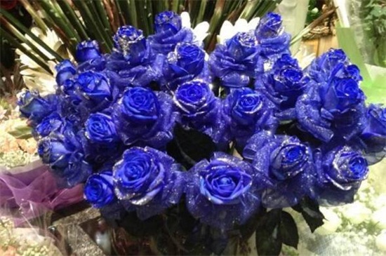 1613714132726347.jpg 1613714132726347.jpg