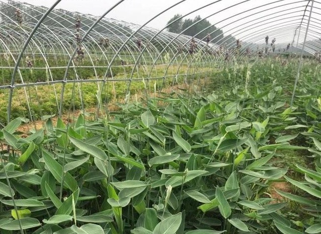 1634121841138323.jpg 圖片.jpg