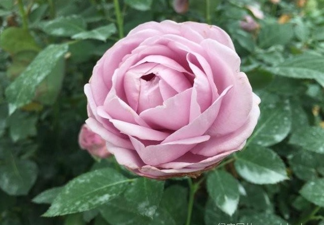 1634123262542559.jpg 圖片.jpg