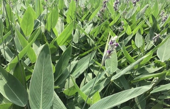 1634464163964712.jpg 圖片.jpg