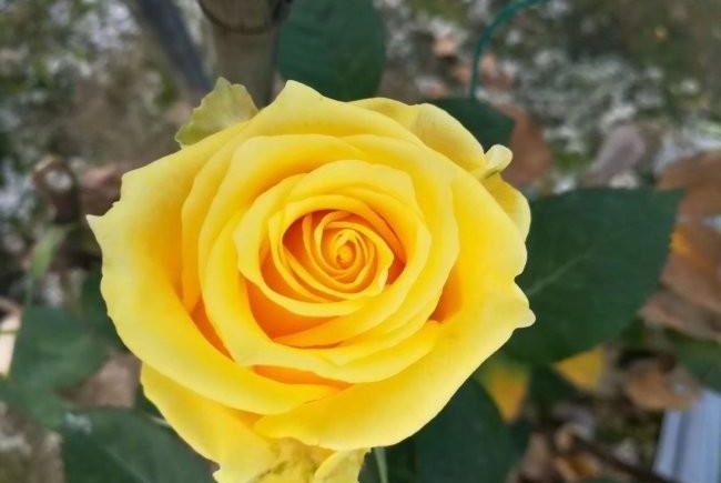 1634466175206628.jpg 圖片.jpg