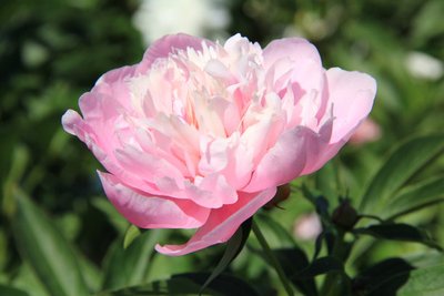 1634725945835602.jpg 1634725945835602.jpg