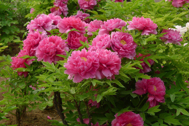 1634725964777804.jpg 1634725964777804.jpg