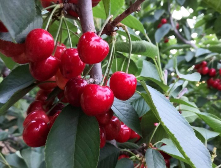 1635176357291281.jpg 1635176357291281.jpg