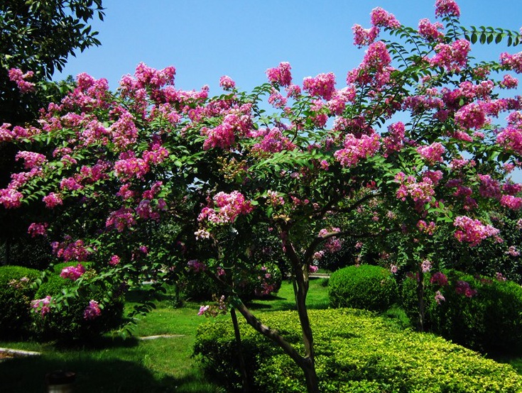 1635494587748586.jpg 2.jpg