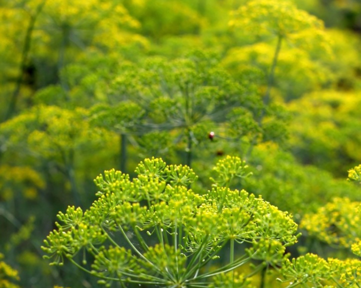 1635609620461714.jpg 1.jpg