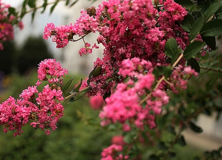 1635742583959204.jpg 1635742583959204.jpg