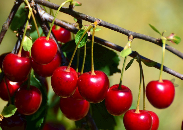 1635753599782303.jpg 1.jpg