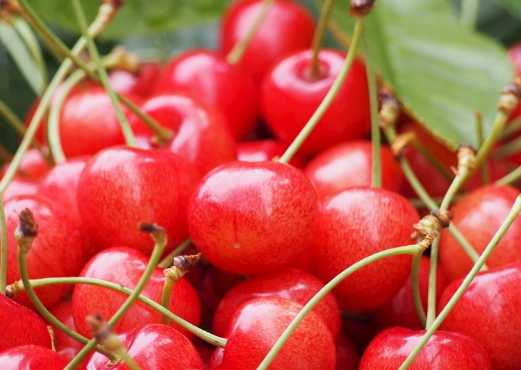 1635753612891520.jpg 2.jpg