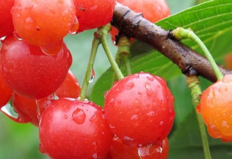 1635753625398279.jpg 3.jpg