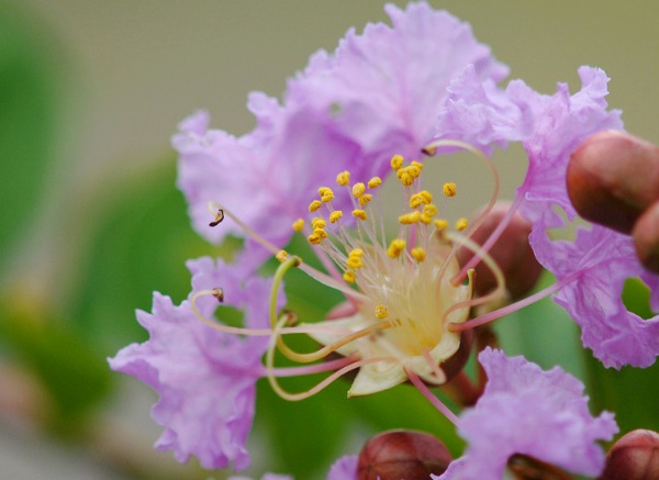 1635908873316097.jpg image.jpg