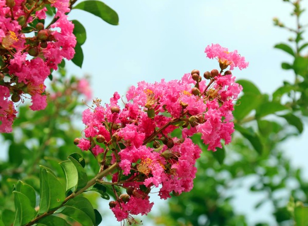 1635908889919665.jpg image.jpg