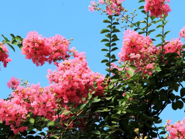 1635908898855785.jpg image.jpg