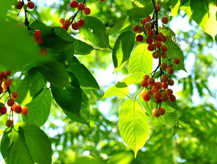 1635913696530753.jpg 1635913696530753.jpg