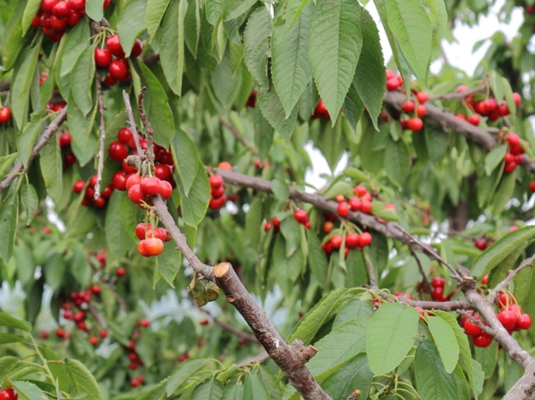 1635914450185968.jpg 1635914450185968.jpg