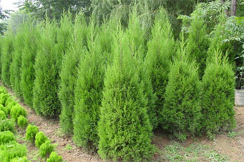 1636974986376354.jpg 1636974986376354.jpg