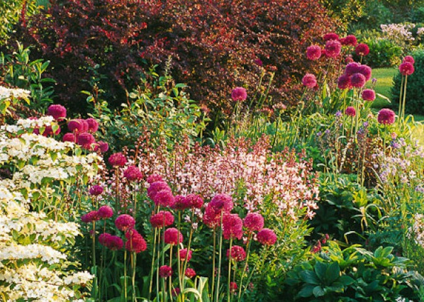 1636978113328376.jpg image.jpg