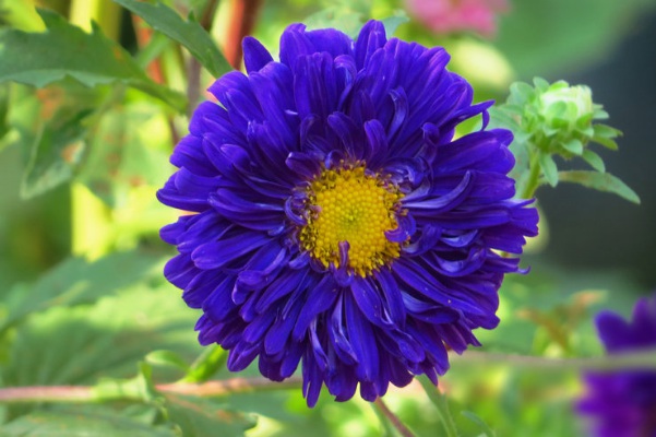 1637025415260109.jpg image.jpg