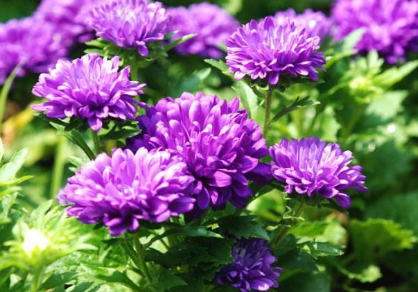 1637025441811611.jpg image.jpg