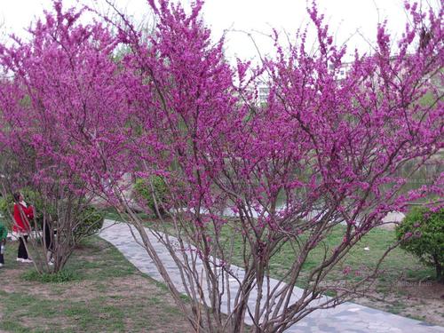 1637146830633740.jpg 1637146830633740.jpg