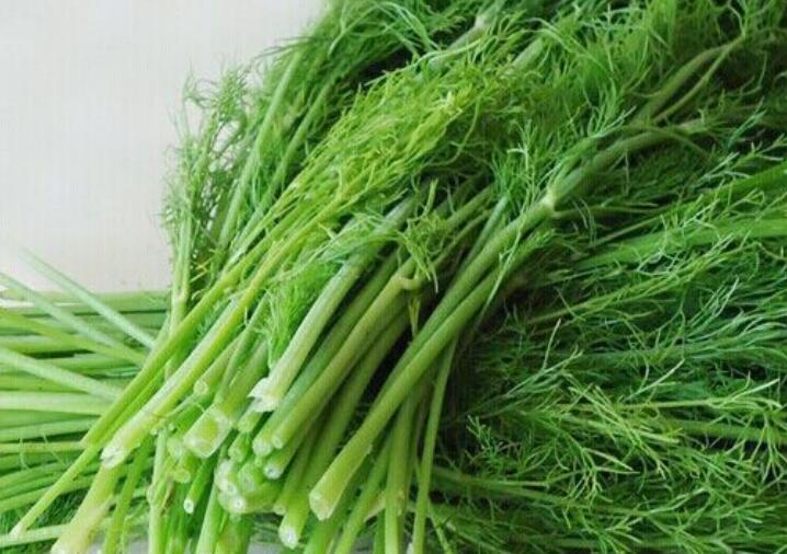 1637334594958891.jpg 1637334594958891.jpg