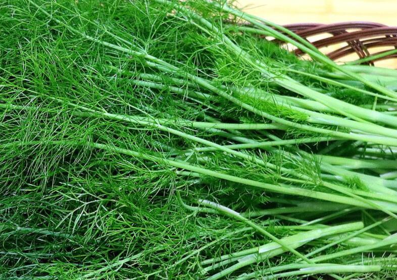 1637334611835354.jpg 1637334611835354.jpg