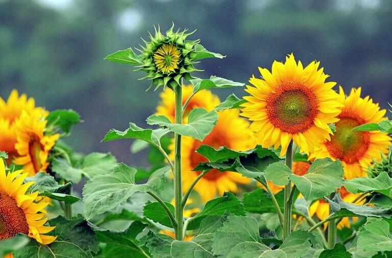 1637850378488820.jpg 1637850378488820.jpg