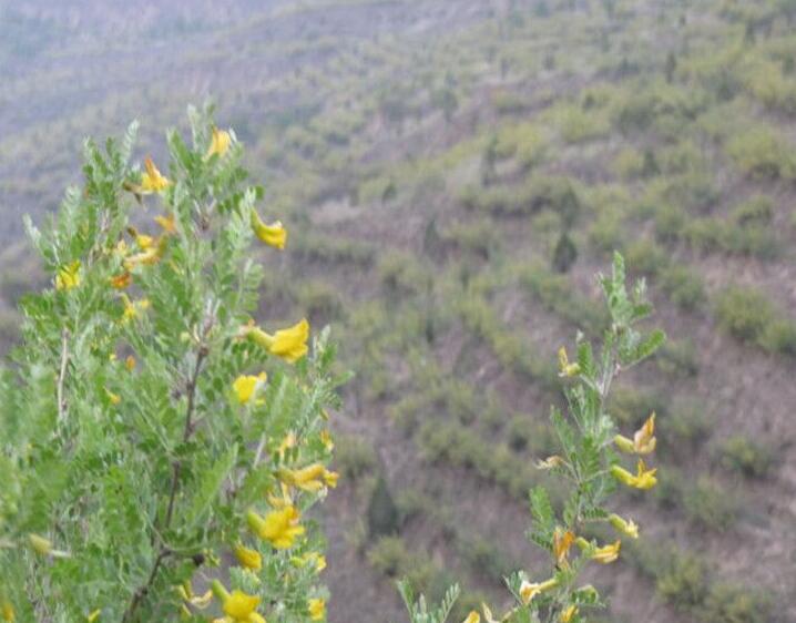 1637852462414559.jpg 1637852462414559.jpg