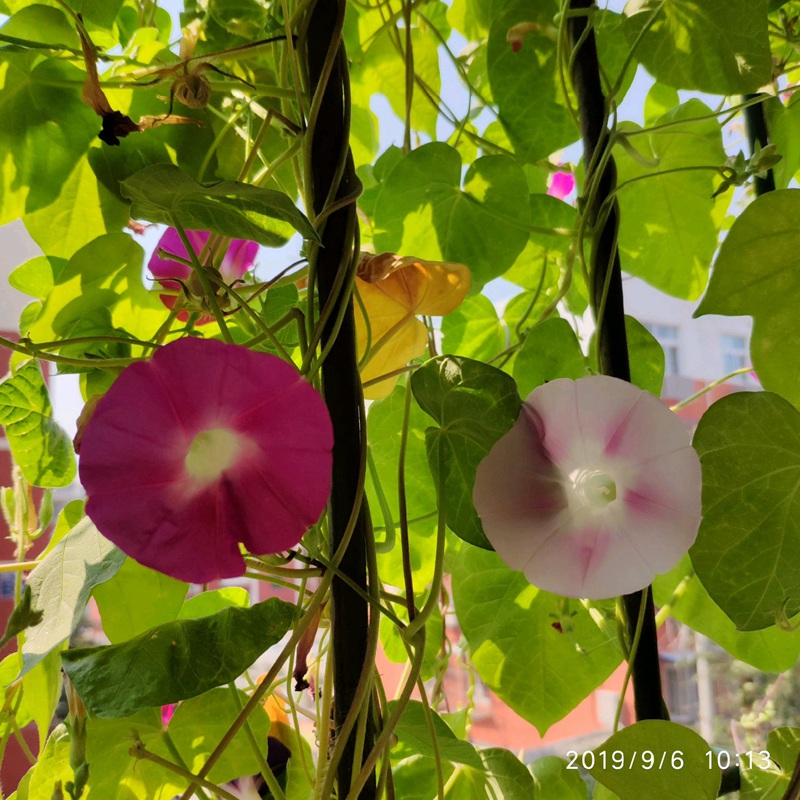 牽?；?/></p><p style=