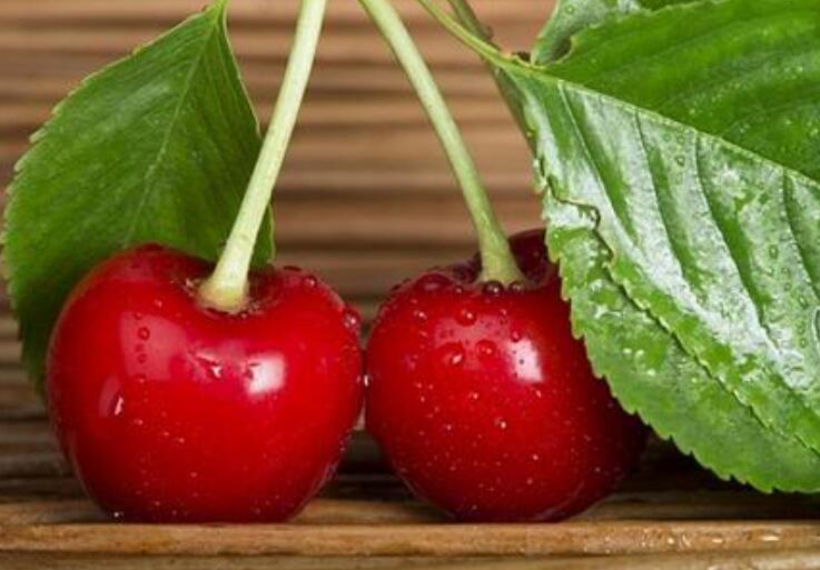 1637919492230749.jpg 櫻桃2222222222222222222222.jpg