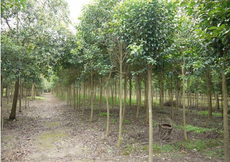 1637937026669550.jpg 1637937026669550.jpg