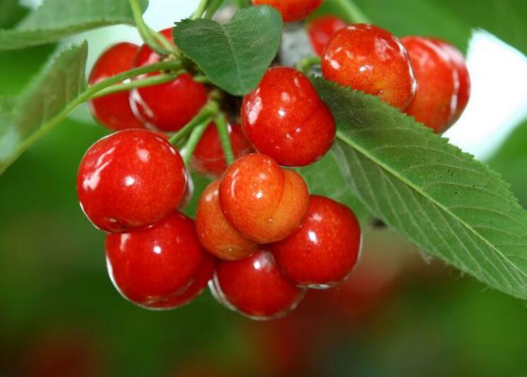 1638172993637774.jpg 1638172993637774.jpg