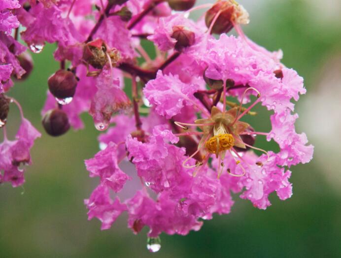 1638925890124779.jpg 1638925890124779.jpg