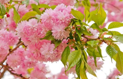 1638954287724584.jpg 1638954287724584.jpg