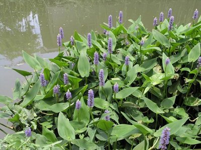 1639219069478307.jpg 1639219069478307.jpg