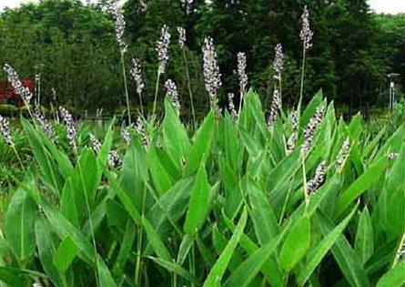 1639300870374277.jpg 1639300870374277.jpg