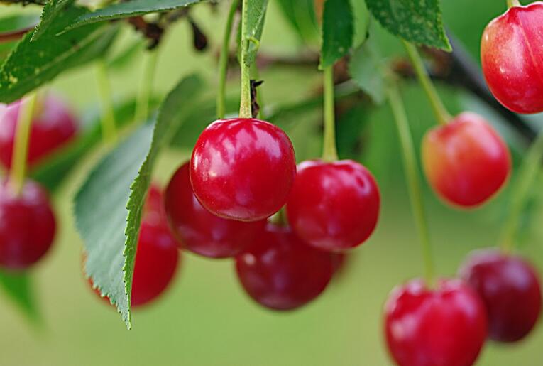 1639322608210805.jpg 1639322608210805.jpg