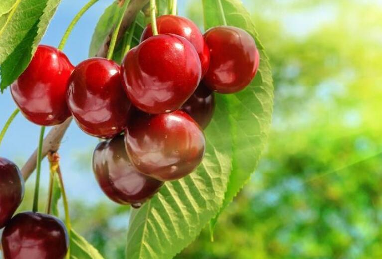 1639322624221805.jpg 1639322624221805.jpg