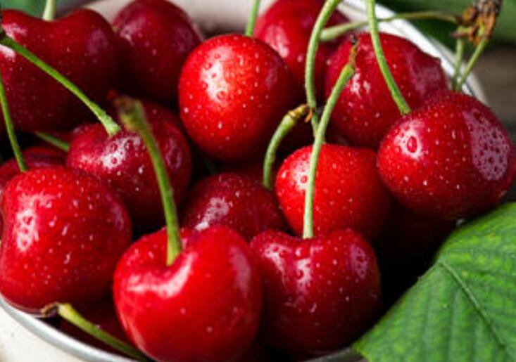 1639322640939132.jpg 1639322640939132.jpg