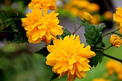 1639389100271231.jpg 1639389100271231.jpg