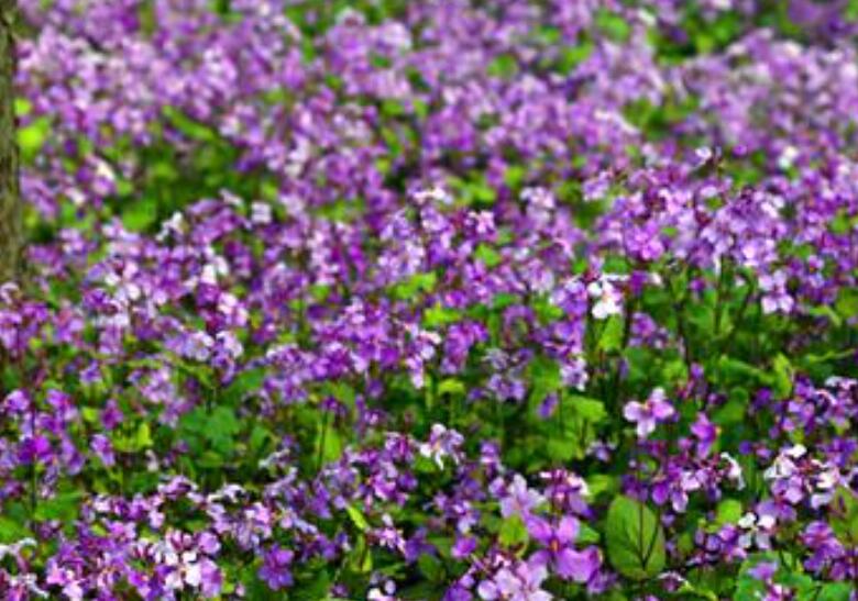 1639409411946223.jpg 1639409411946223.jpg