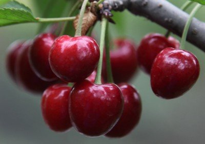 1639912092698717.jpg 1639912092698717.jpg