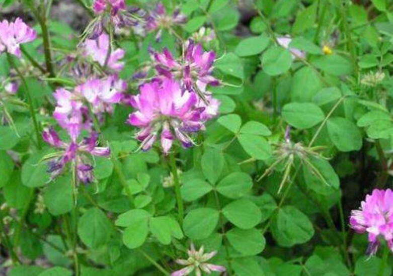 1639979661284867.jpg 1639979661284867.jpg