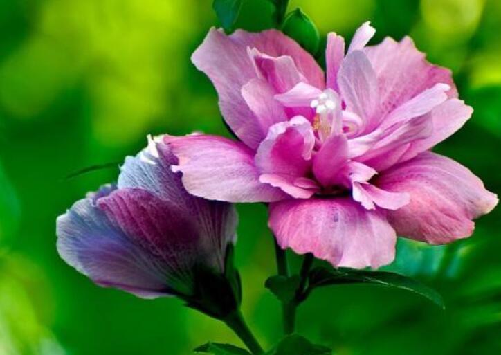 1639984218883482.jpg 1639984218883482.jpg